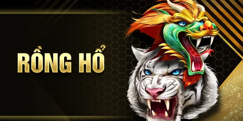 Rồng hổ 8KBET
